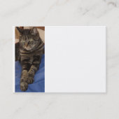 Regal Dave Chubby Visitekaartje (Voorkant)