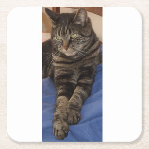 Regal Dave Custom Costers Kartonnen Onderzetters