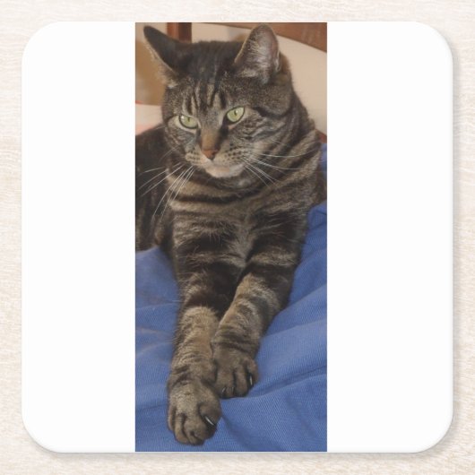 Regal Dave Custom Costers Kartonnen Onderzetters (Voorkant)