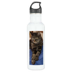 Regal Dave Custom Water Bottle (710 ml), White Waterfles