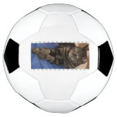 Regal Dave Football Voetbal (Gedraaid)