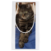 Regal Dave Gift Bag Klein Cadeauzakje (Voorkant)