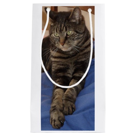 Regal Dave Gift Bag Klein Cadeauzakje (Voorkant)