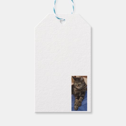 Regal Dave Gift Label Cadeaulabel (Voorkant)