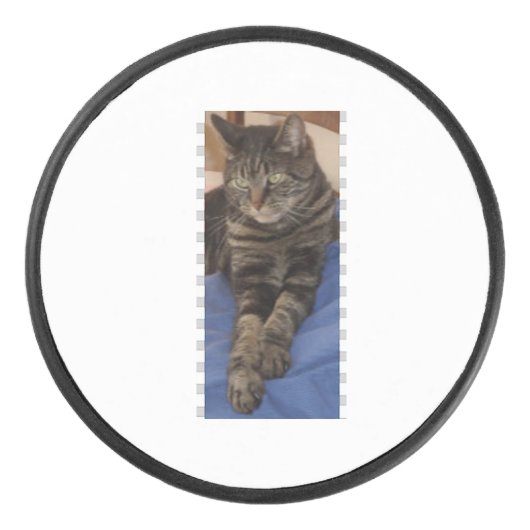 Regal Dave Hockey Puck (Voorkant)