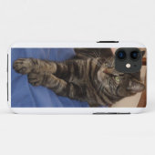 Regal Dave Hoesjes (Achterkant (horizontaal))