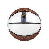 Regal Dave Mini Basketbal (Voorkant)