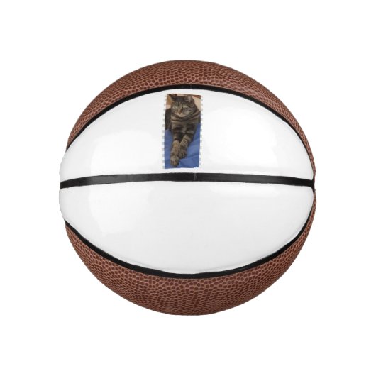 Regal Dave Mini Basketbal (Voorkant)