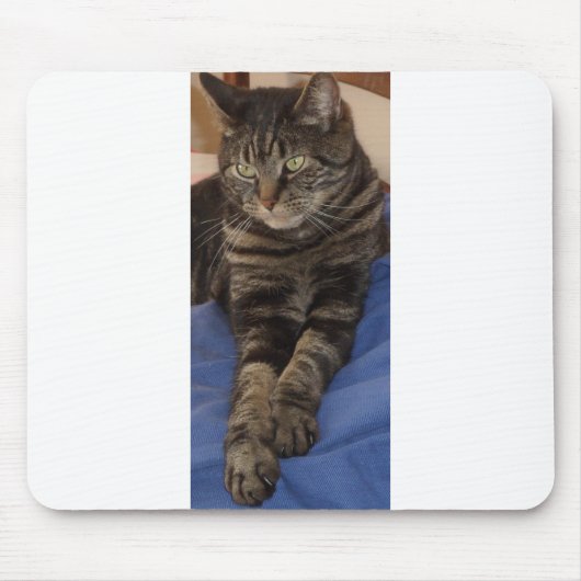 Regal Dave Mousepad Muismat (Voorkant)