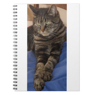 Regal Dave Photo Notitieboek (80 pagina's)