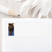 Regal Dave Return-adreslabels Etiket (Insitu)