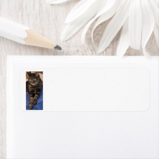 Regal Dave Return-adreslabels Etiket (Insitu)