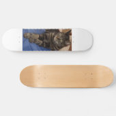 Regal Dave Skateboard (Horizontaal)