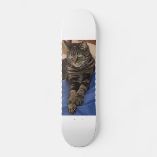 Regal Dave Skateboard (Voorkant)
