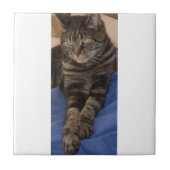 Regal Dave Small Ceramic Photo Tile Tegeltje (Voorkant)