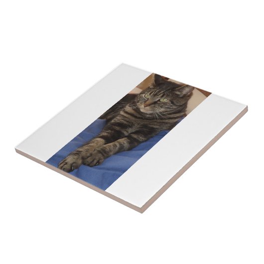 Regal Dave Small Ceramic Photo Tile Tegeltje (Zijkant)