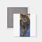 Regal Dave Square Magnet (Voorkant / Achterkant)