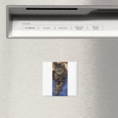 Regal Dave Square Magnet (Insitu (Vaatwasser))