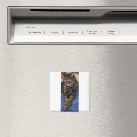 Regal Dave Square Magnet (Insitu (Vaatwasser))