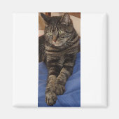 Regal Dave Square Magnet (Voorkant)