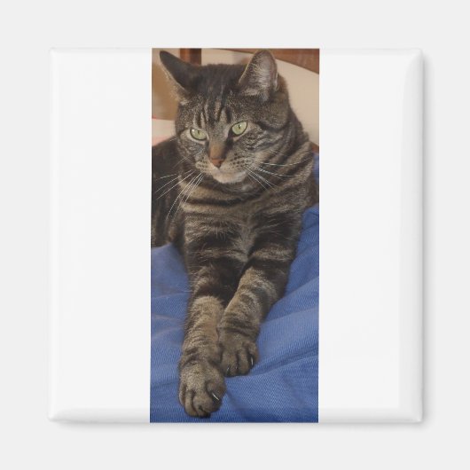 Regal Dave Square Magnet (Voorkant)