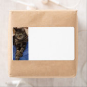 Regal Dave Verzendlabels Etiket (Insitu)