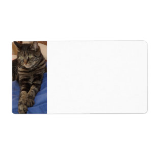 Regal Dave Verzendlabels Etiket