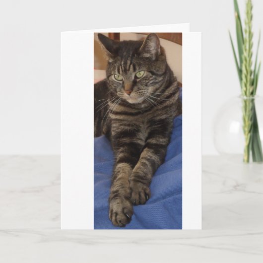 Regal Dave Wenskaarten Kaart (Voorkant)