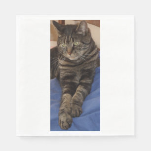 Regal Dave White Standard Luncheon Paper Napkins Servet