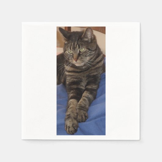 Regal Dave White Standard Napkins Servetten (Voorkant)