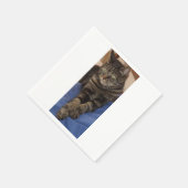 Regal Dave White Standard Napkins Servetten (Hoek)