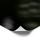 Regal Ebony Portrait Intense Gaze Gold Hoops Perfect Poster (Hoek)