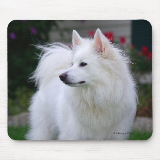 Regal Eskie Mousepad Muismat (Voorkant)