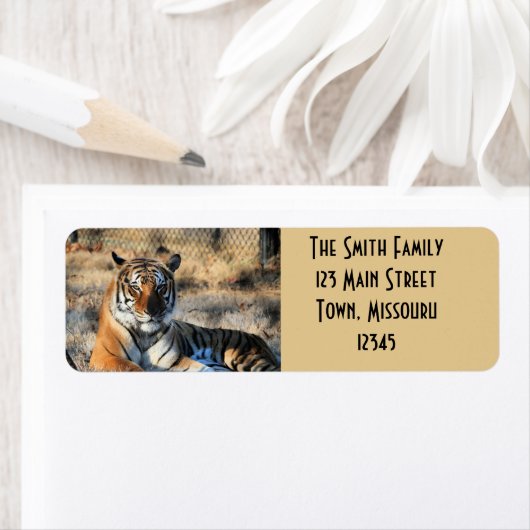 Regal Etiket (Insitu)