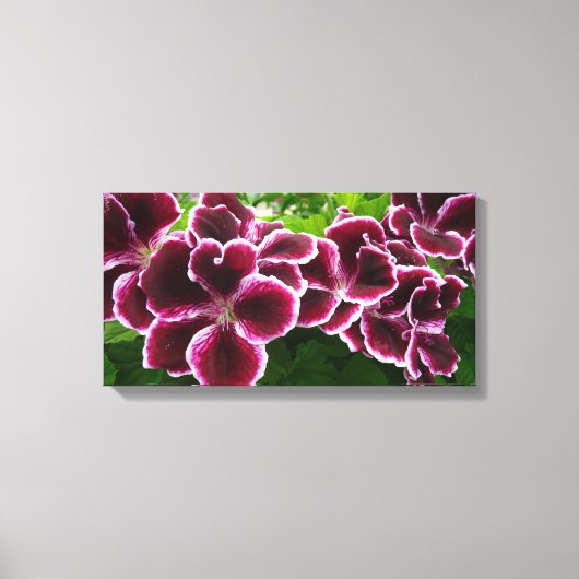 Regal Geranium Flowers Elegant Maroon Floral Lugga Canvas Afdruk (Voorkant)