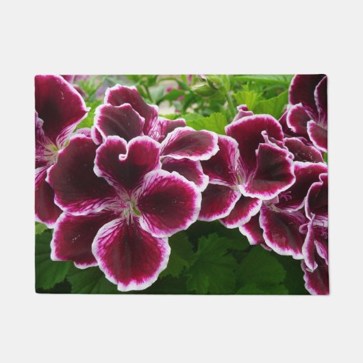 Regal Geranium Flowers Elegant Maroon Floral Lugga Deurmat (Voorkant)
