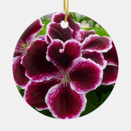 Regal Geranium Flowers Elegant Maroon Floral Lugga Keramisch Ornament (Voorkant)