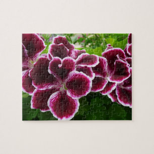 Regal Geranium Flowers Elegant Maroon Floral Lugga Legpuzzel