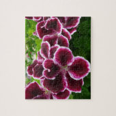 Regal Geranium Flowers Elegant Maroon Floral Lugga Legpuzzel (Verticaal)