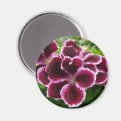 Regal Geranium Flowers Elegant Maroon Floral Lugga Magneet (Voorkant / Achterkant)