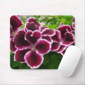 Regal Geranium Flowers Elegant Maroon Floral Lugga Muismat (Met muis)