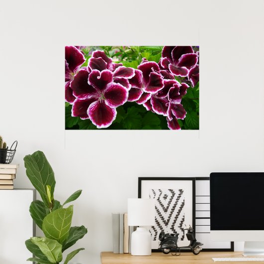 Regal Geranium Flowers Elegant Maroon Floral Lugga Poster (Thuiskantoor)