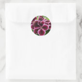 Regal Geranium Flowers Elegant Maroon Floral Lugga Ronde Sticker (Tas)