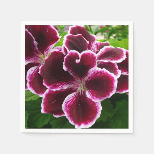 Regal Geranium Flowers Elegant Maroon Floral Lugga Servet (Voorkant)
