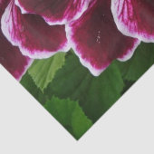 Regal Geranium Flowers Elegant Maroon Floral Lugga Tissuepapier (Detail)