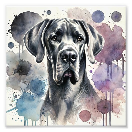 Regal Great Dane Waterverf Print Foto Afdruk (Voorkant)