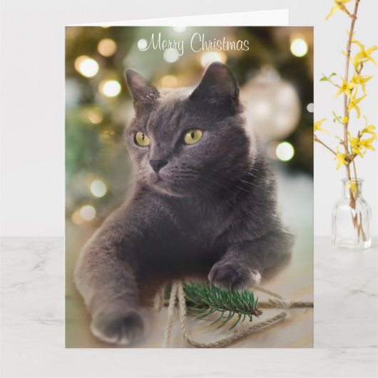 Regal Grey Cat met kerstverlichting Kaart (Gele Bloem)