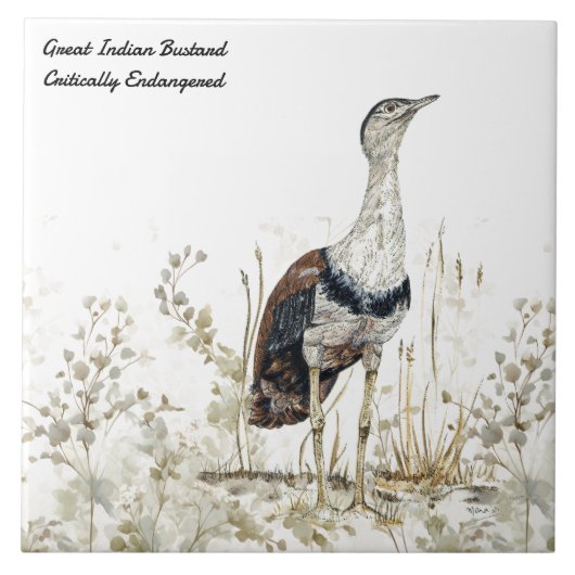 Regal handgeschilderde Indische Bustard Bird Tegeltje (Voorkant)