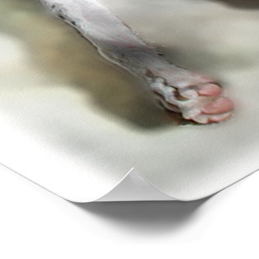 Regal Iggie Poster (Hoek)