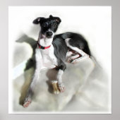 Regal Iggie Poster (Voorkant)